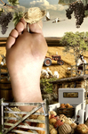 Gran pie en un paisaje rural con frutas, campo, objetos domésticos y pequeñas figuras, cerrando la narración surreal de la serie.