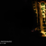 Zapato de tacón oscuro apenas iluminado, junto a una tela con detalles dorados en la penumbra.