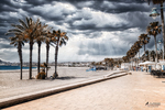 Paseo marítimo de Carboneras con palmeras, suelo claro y cielo dramático sobre la costa mediterránea.