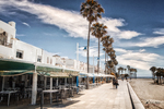 Paseo marítimo de Carboneras con palmeras altas, terrazas, edificios blancos y luz intensa de verano.