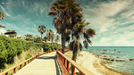 Pasarela junto a palmeras en el Sendero Litoral de Mijas, con playa, mar azul y cielo de nubes al fondo.