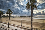 Paseo marítimo de Rota con palmeras, playa y cielo lleno de nubes sobre el Atlántico.