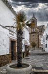 Calle de Rota con palmera, torre histórica y fachadas blancas bajo cielo nublado.