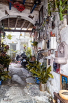 Patio decorado de Rota con plantas, objetos colgantes y ambiente popular andaluz.