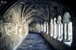 Claustro oscuro con bóvedas y columnas en un monasterio del norte de España.