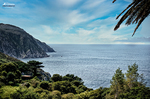 Costa del norte de España con acantilado, mar azul y vegetación mediterránea o atlántica en primer plano.