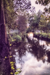 Reflejos del río Támega en Chaves, con árboles, luz violeta y paisaje urbano al fondo.