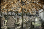 Antiguo cementerio judío de Praga con lápidas inclinadas entre árboles.