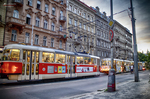 Tranvía rojo circulando por una avenida de Praga entre edificios históricos.