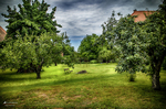 Jardín verde con árboles junto a edificios históricos de Kutná Hora, República Checa.