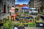Puesto de flores en una plaza de Kutná Hora con gente y edificios al fondo.