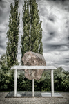 Mesa conmemorativa con piedra en el Memorial de Terezín, junto a altos cipreses.