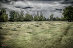 Cementerio o zona de memoria en Terezín con cruces y cielo nublado.