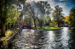 Canal de Brujas rodeado de árboles con luz filtrada y reflejos en el agua.