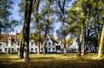 Casas blancas del Begijnhof de Brujas entre árboles y jardín tranquilo.