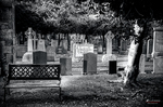 Cementerio escocés en blanco y negro con banco, lápidas y árboles sombríos.