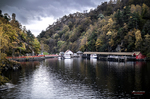 Lago entre colinas boscosas de Escocia con barcas y cielo nublado.