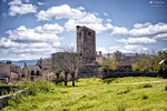Castillo de Pedraza visto desde el campo con torre y murallas.