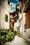 Rincón de Sequeros con calle estrecha, macetas y fachadas tradicionales.