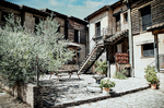 Patio o rincón de Sequeros con olivo, escaleras exteriores y casas de piedra.