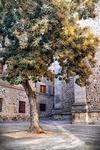 Plaza tranquila con árbol y arquitectura de piedra en Toledo.