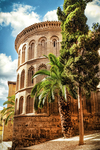 Edificio religioso de piedra y ladrillo con palmera en Toledo.