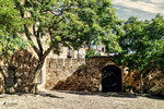 Árbol junto a un arco de piedra en una plaza tranquila de Cáceres.