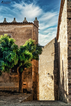 Torre y muralla de piedra junto a vegetación en el casco histórico de Cáceres.
