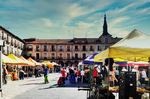 Plaza Mayor de León con puestos de mercado y edificios porticados.