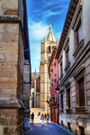 Vista de la Catedral de León entre edificios del casco histórico.