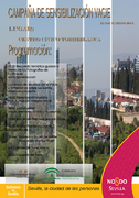 Cartel de campaña de sensibilización sobre el chabolismo con fotografía urbana de El Vacie y programa de actividades.