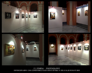 Exposición fotográfica de F. J. Pineda en Casa Consistorial Plaza Nueva Sevilla, sala amplia con arcos, paneles blancos y fotografías iluminadas.