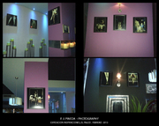 Exposición fotográfica Inspiraciones de F. J. Pineda en El Palco espacio interior con paredes de colores y fotografías iluminadas.