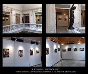 Exposición fotográfica Asina de F. J. Pineda en sala La Sirenas la Alameda, escultura y paneles expositivos.