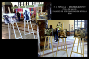 Exposiciones de F. J. Pineda Palacio de Exposiciones 