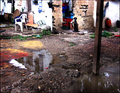 Calle embarrada con charcos entre viviendas del asentamiento chabolista de El Vacie.