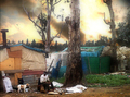 Árboles y viviendas del asentamiento entre humo o neblina en una fotografía documental.