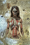 Figura femenina de frente con el interior del cuerpo visible como una ilustración anatómica, sobre un fondo claro y envejecido.